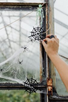 01CoverBottom_Features_Courtesy of Pexels
