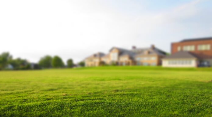 An innovative way to preserve California’s grass