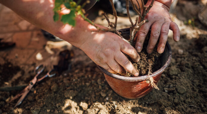 Sustainability begins with us