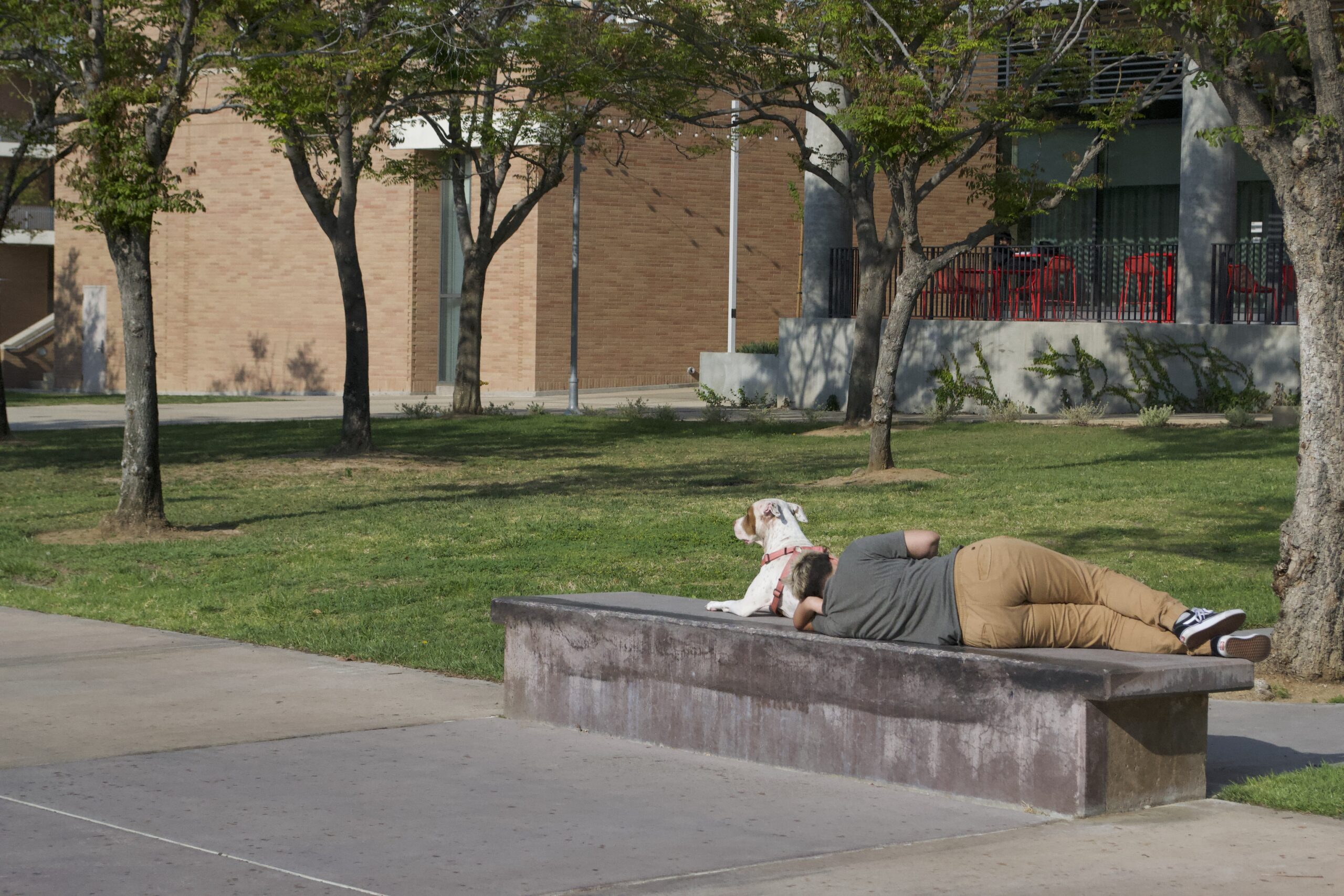 The University of California should be doing more to combat housing insecurity within its student population - Vimarsana News