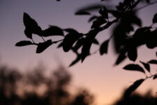 10Features_Love_Grace Sun _ The Highlander