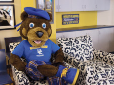 news.bearsden