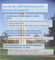 ColumnA_Undergrad