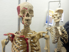 news.schoolofmedicine.archive