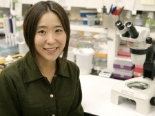 news.sistersstem.ucrnewsroom