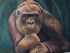 apes