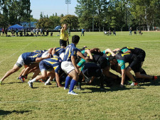 sports.rugby