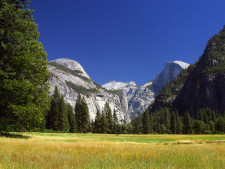 Public domain image, royalty free stock photo from www.public-domain-image.com