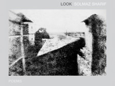 radar-look-graywolfpress