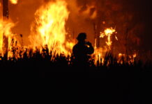 The LA Fires: A growing disaster