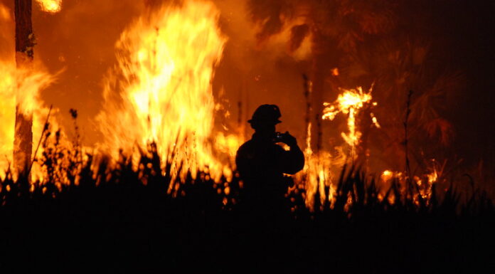 The LA Fires: A growing disaster