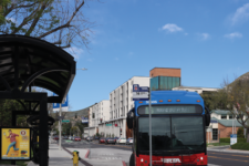 (Alondra Ordaz_ The Highlander) (2) (1)