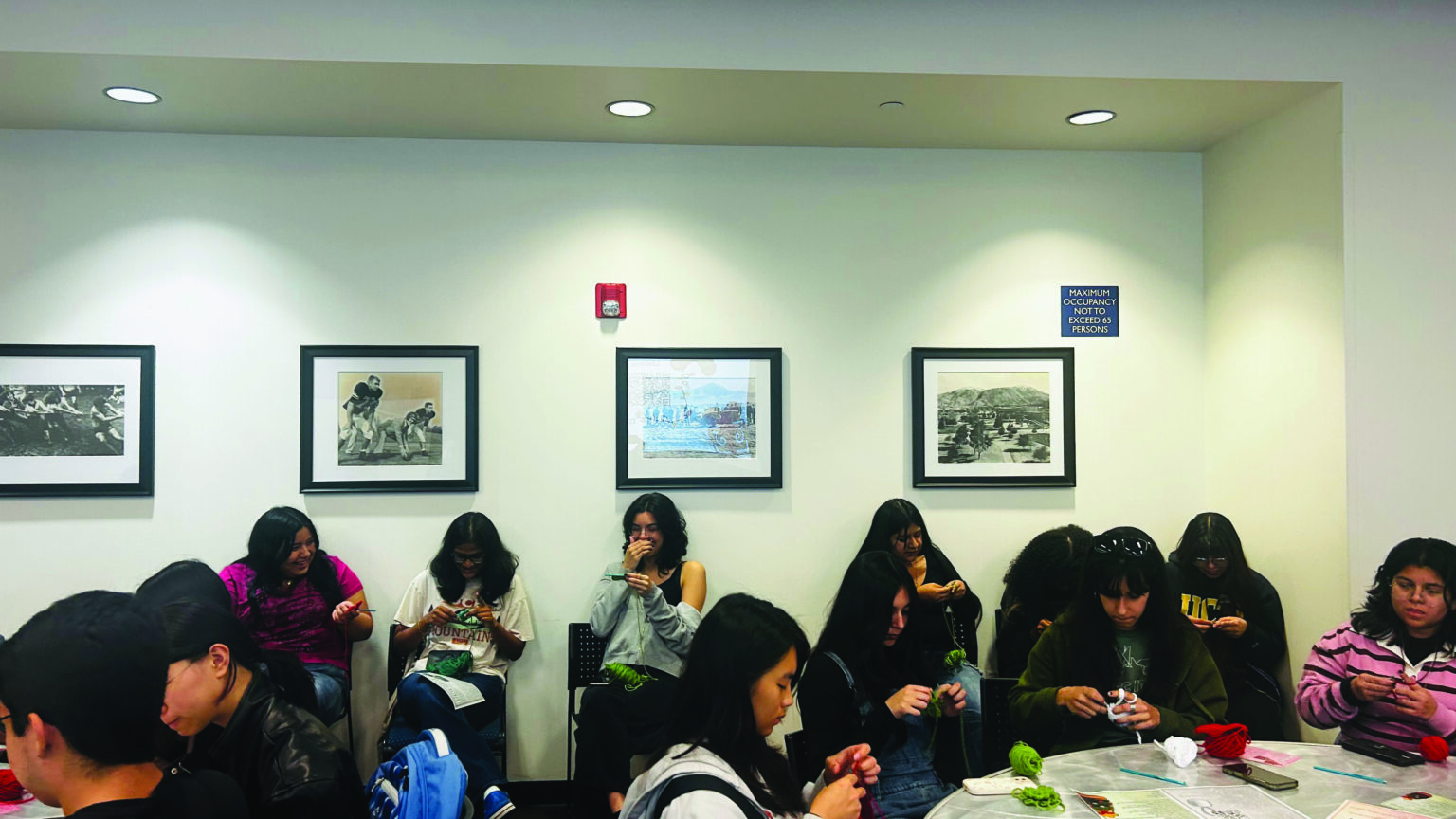 It’s knot just crochet; it’s Hooks for Hope - The Highlander Newspaper