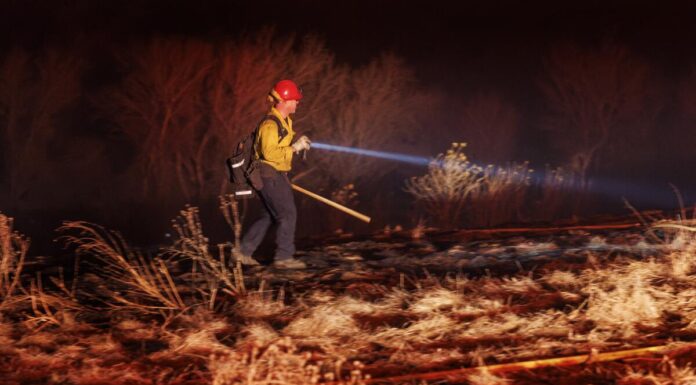 Clay fire burns 40 acres of Riverside County