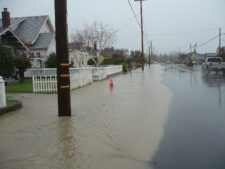 (Courtesy of Ellin Beltz via Wikimedia Commons)