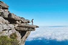 (Courtesy of M Venter via Pexels)