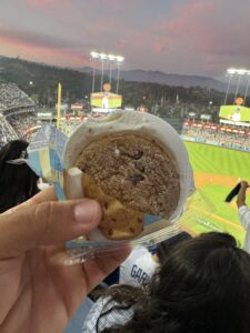 Dodger Stadium 2
