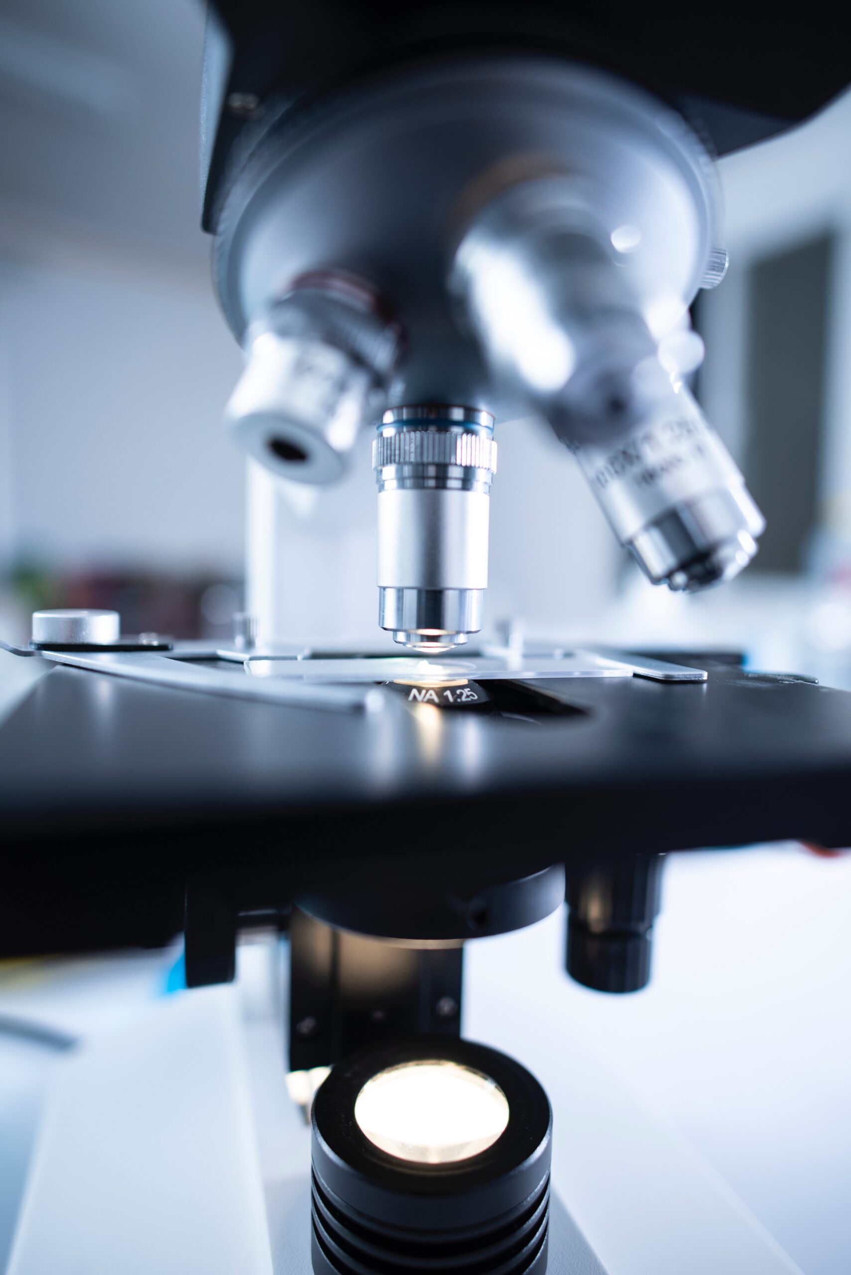 UCR researchers are investigating the link to Fragile X Syndrome, advancing research on autism and ovarian disorders