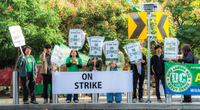 AFSCME union workers go on strike