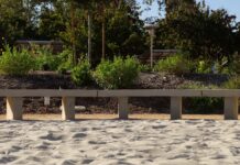 Mata Elangovan - The Highlander