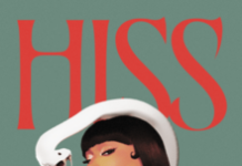 Roman vs. Thee Stallion: a feud ignited between two respected rappers