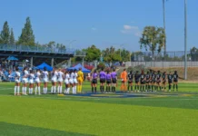 A Look into Recent Soccer and Volleyball Results