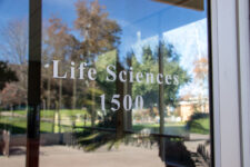 Vash Chen _ The Highlander-3