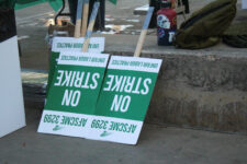 Web_Elena Versage_ The Highlander