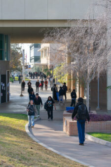 Web_Neorah Davis _ The Highlander (1)