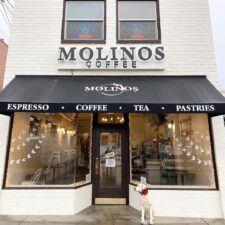 feat.Molinos.@molinoscoffeeInsta