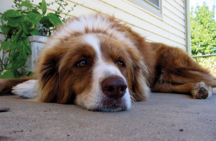 Campus Cope: What to do this summer if you’re bored and have no friends