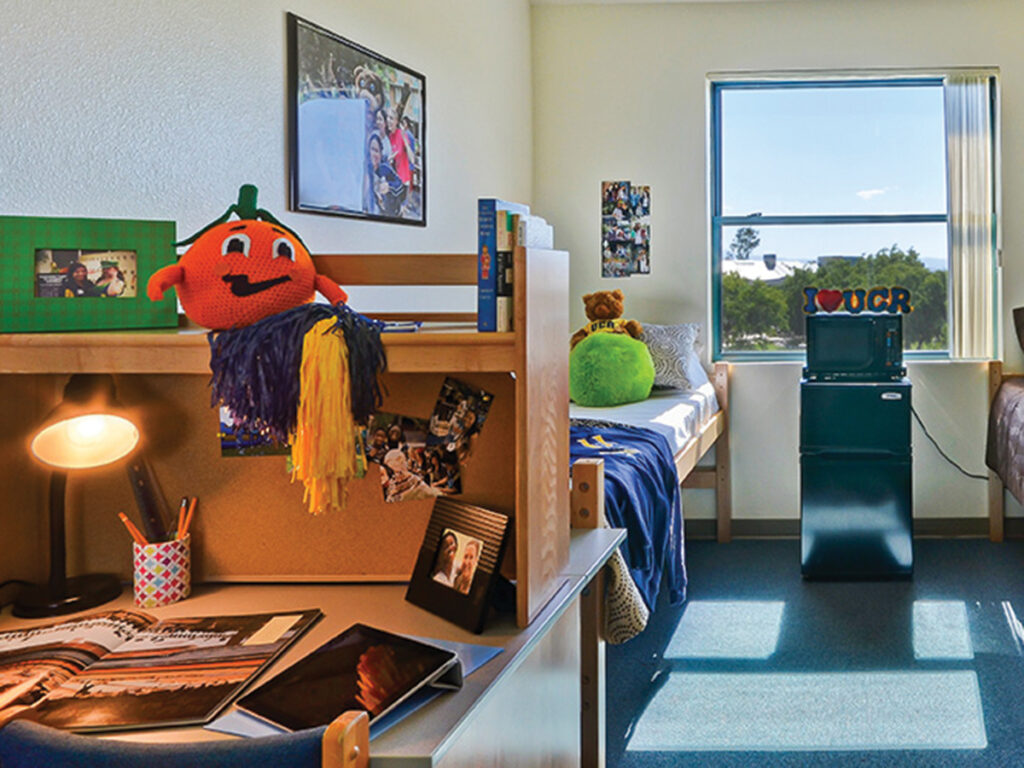 Be intheknow of what characterizes the best dorm room Highlander