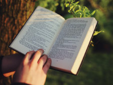 features.reading.pexels