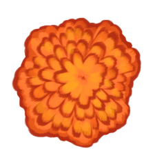 marigold1 – AdeliaU