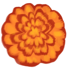 marigold2 – AdeliaU