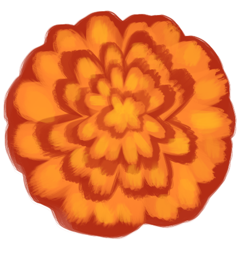 marigold2 - AdeliaU