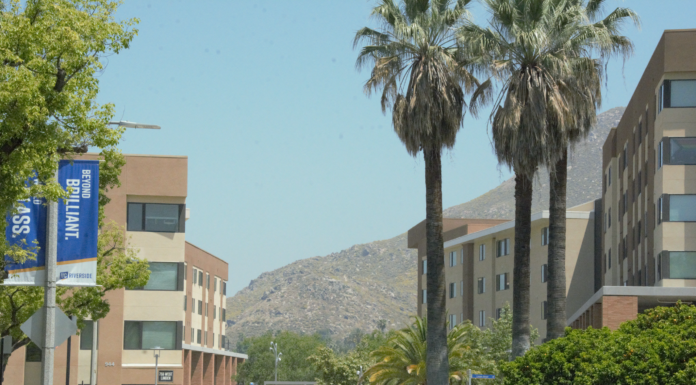 Court documents paint clearer picture of campus gun arrest