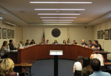 Author of judicial council amendment strikes proposal