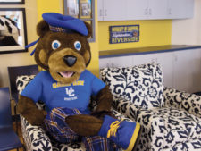 news.bearsden