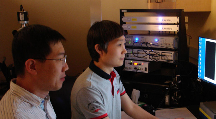 UCR researchers explore how the brain communicates fear