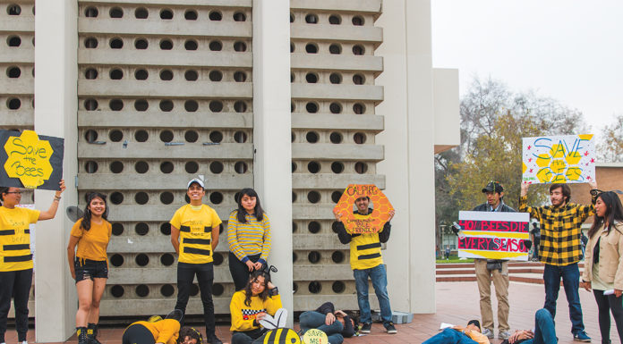 CALPIRG students dress up as bees to raise awareness of neonicotinoids