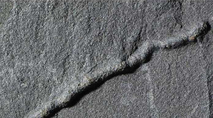 UCR researchers help discover evience of moving organisms from 2.1 billion years ago