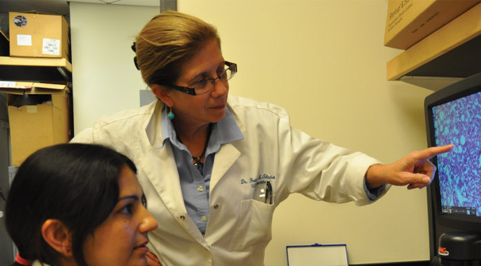 Genetically modified soybean oil may not be as healthy as you think, research suggests