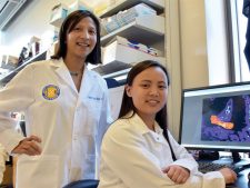 news.sepsis.ucrtoday