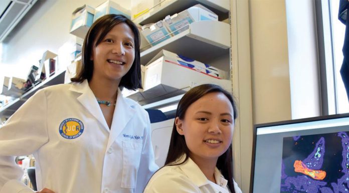 UCR researchers discovered a more effective treatment for sepsis