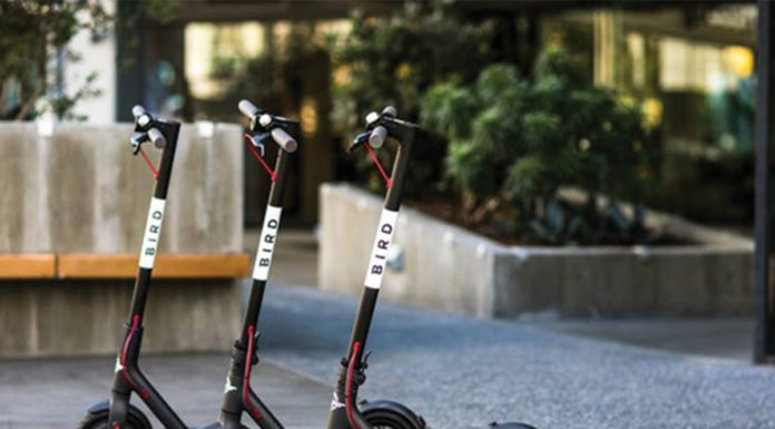 More than 500 Bird scooters in storage as UCR addresses scooter surge