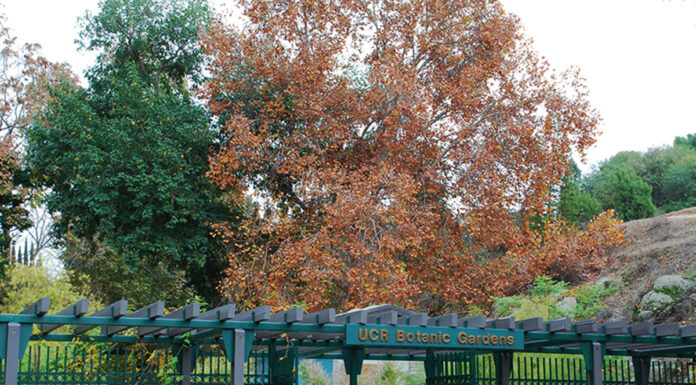 Botanical Garden workers are denied livable wages