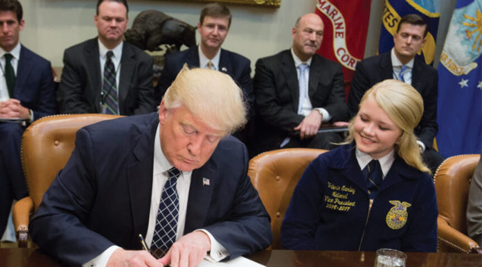 Trump’s budget proposes cuts to social programs