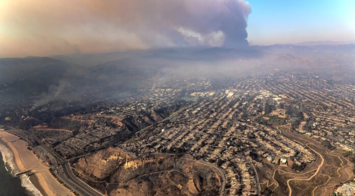 Economic impacts of the Los Angeles wildfires