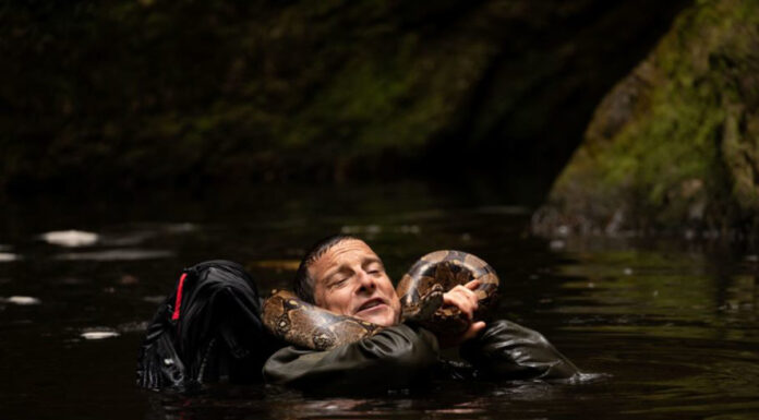 Choose your adventure in ‘Animals on the Loose: A You vs. Wild Movie’ with spur-of-the-moment decisions